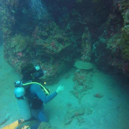 Anilao Scuba Dive Center Hotel Batangas Bagian luar foto