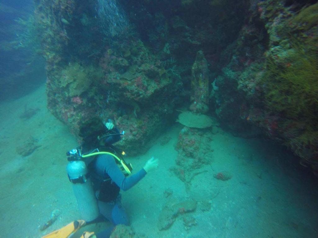 Anilao Scuba Dive Center Hotel Batangas Bagian luar foto