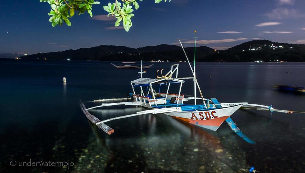 Anilao Scuba Dive Center Hotel Batangas Bagian luar foto