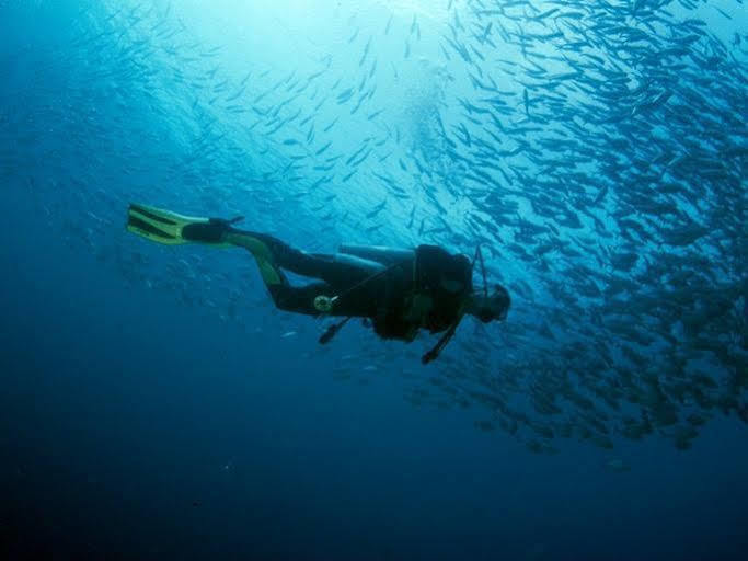 Anilao Scuba Dive Center Hotel Batangas Bagian luar foto